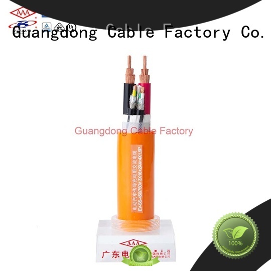 AAA electric car charger cable bulk