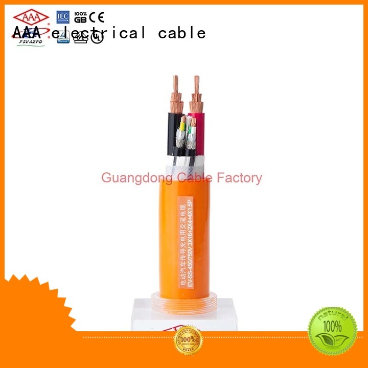 leading car charging cable quality assured